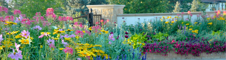 Year Round Landscaping
