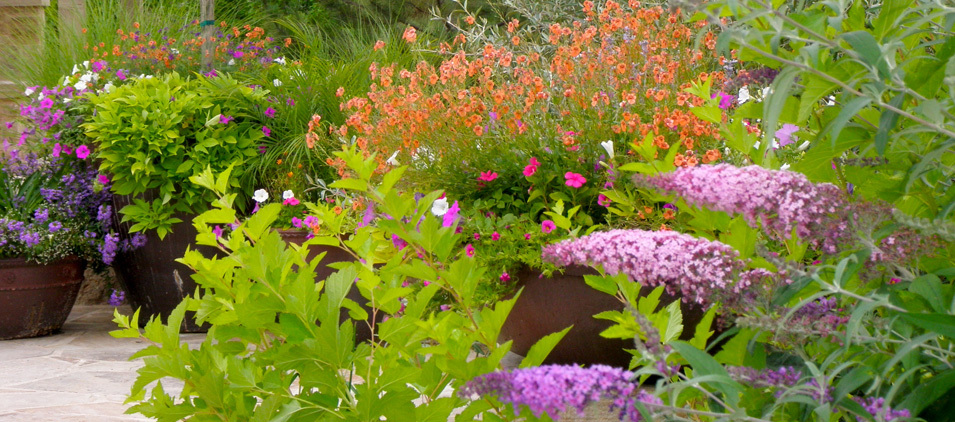 Lawn & Garden Care
