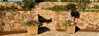 Landscape structures include stairs and retaining walls Structures & Stonework 4
