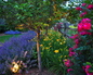 Evening Illumination 10
