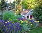 Flowers in Bloom 8