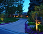 Evening Illumination 12