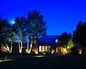 Evening Illumination 2