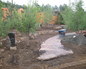 South Western Landscape 8