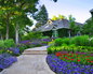 Flowers in Bloom 10
