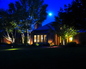 Evening Illumination 5