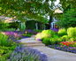 Flowers in Bloom 1