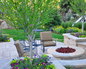 Flowers in Bloom 5