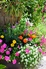 Color elements create comfort in the outdoor living space