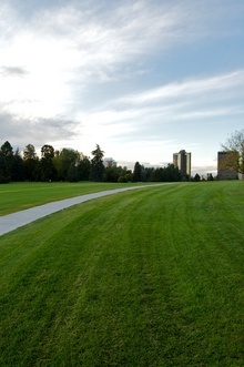 Cheeseman Park Portfolio