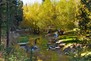 Taking advantage of the beautiful creek was a key design goal