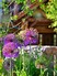 Colorful gardens add dramatic focus