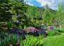 Careful arrangement of native plants create beautiful natural gardens  