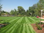  Lawn & Garden 9