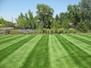  Lawn & Garden 3