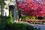 Hilltop Flower Display 1