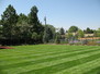 Cherry Hills Annual Flower Garden 12