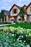 White flowers pop in the moonlight bringing beauty day and evening