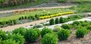 Stapleton Xeriscape Garden 9