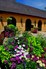French Country Estate in Castle Pines 8