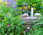 The fountain in this Denver perennial garden creates atmosphere, and attracts birds