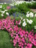 Cherry Hills Annual Flower Garden 5