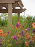 Tuscan Residence in Cherry Hills 8