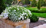 Beauty is in the details- here we see hand crafted stone work and a lovely flower pot