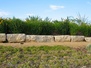 Stapleton Xeriscape Garden 4
