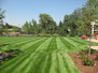 Cherry Hills Annual Flower Garden 10