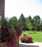 Cherry Hills Annual Flower Garden 3