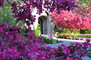 Hilltop Flower Display 3