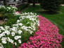 Cherry Hills Annual Flower Garden 6