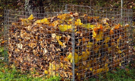 fall-leaf-compost