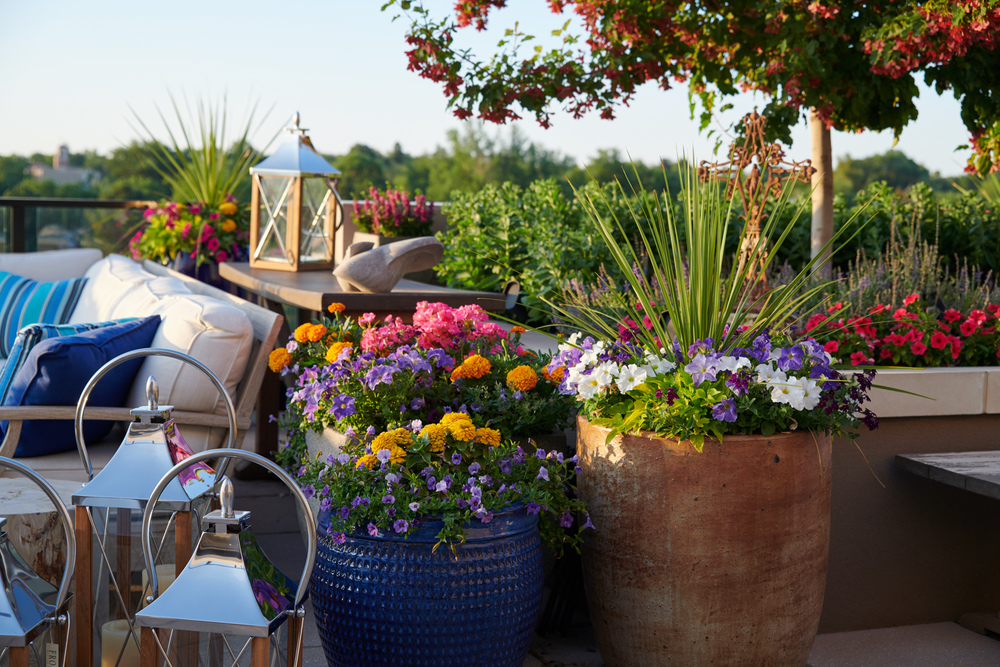 Landscaping in Denver With Pots and Planters Designscapes Colorado
