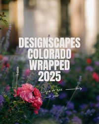 Designscapes Colorado Wrapped: A Year in Review of Growth, Community & Landscaping in Colorado