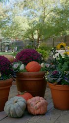 How to Plant Fall Pots: Step-by-Step Planting Guide