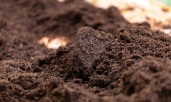 What you should know about soil