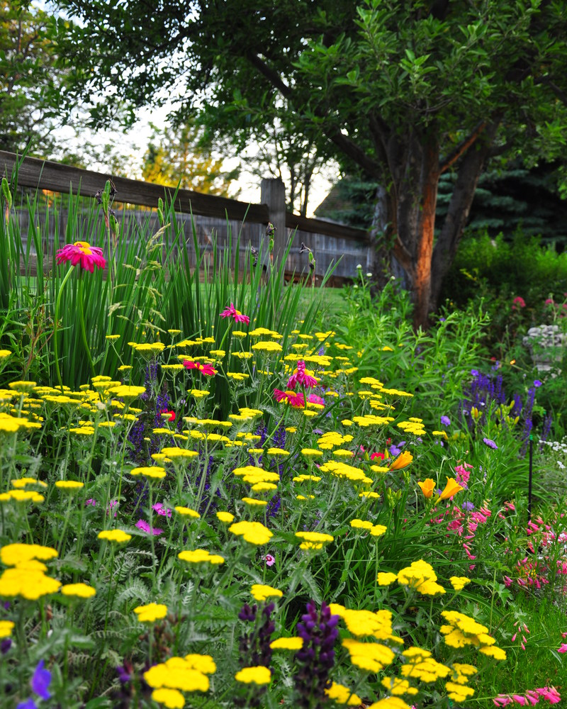 Colorado Perennial & Annual Gardens Designscapes Colorado
