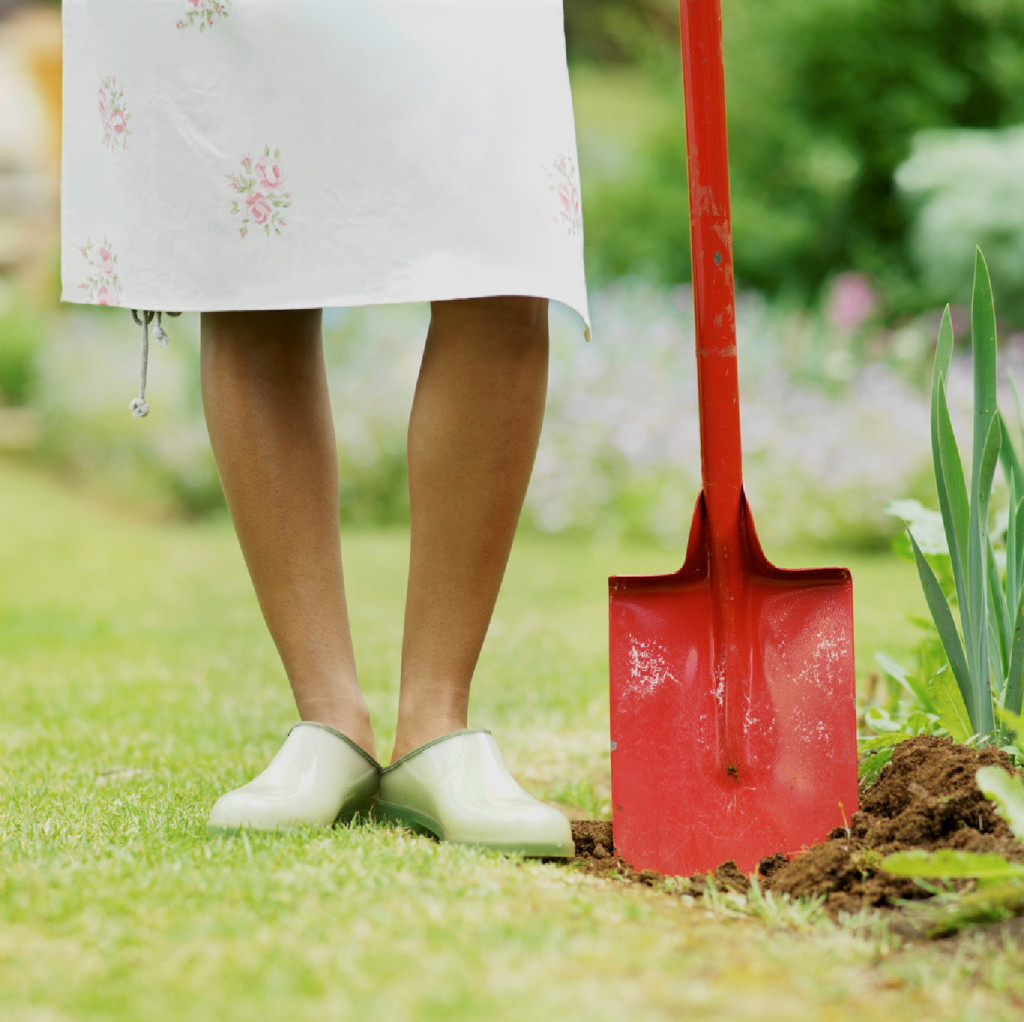 Fall-planting