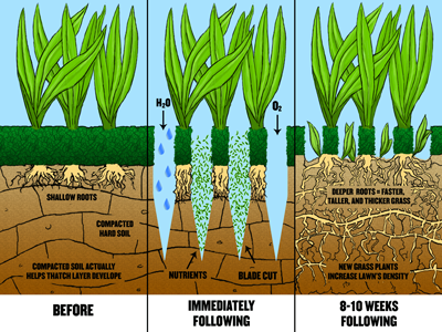 aeration