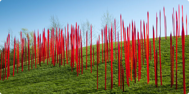 f-0003_chihuly_meijergardens_primages