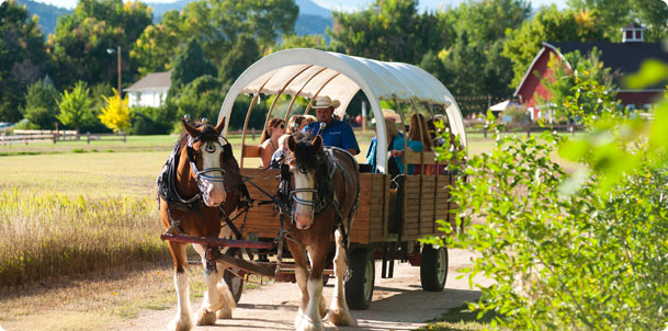 fea-slide-corn-maze-wagon-fr