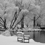 snow