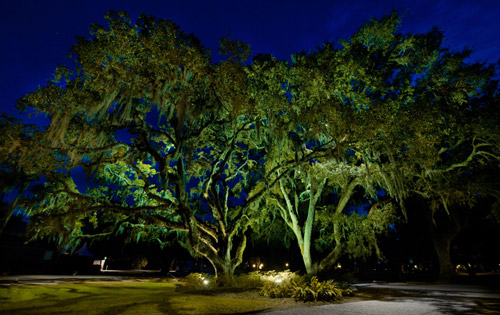 Bright Ideas With Outdoor Lighting Moonlight Moon Lighting